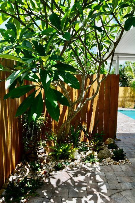 Tropical Retreat Near Beaches, Cruise Terminals Merritt Island 외부 사진